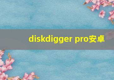 diskdigger pro安卓